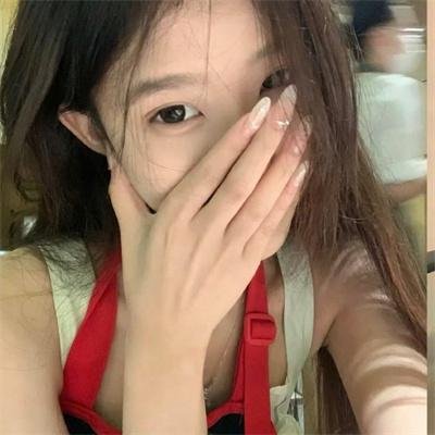 战略特勤组